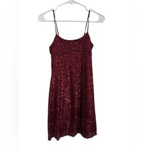 Sparkling Burgundy Sequin Dress